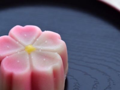 春の和菓子